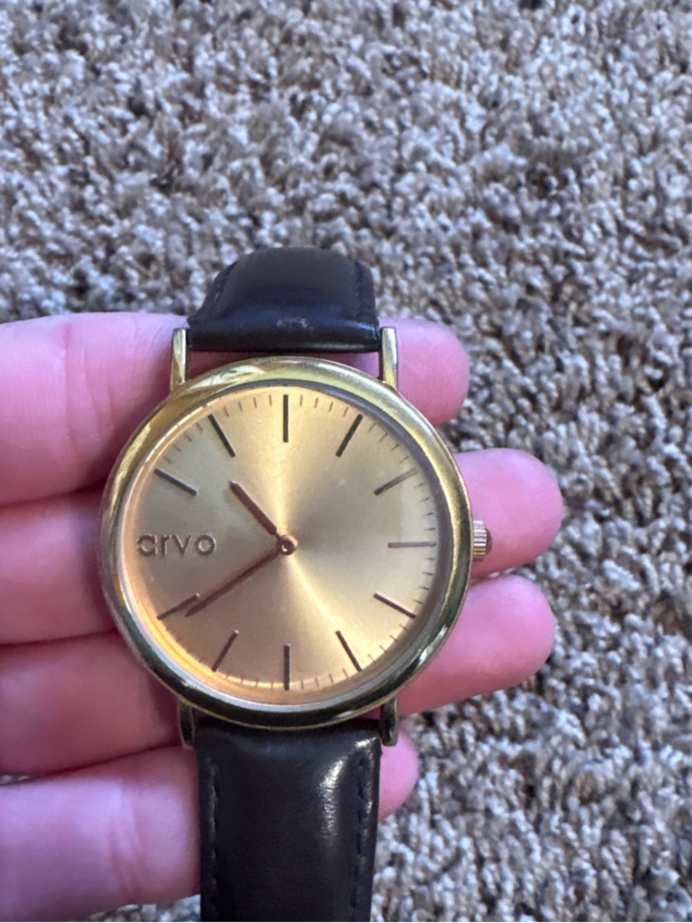 Arvo Men's Gold Dial Brown Leather Watch